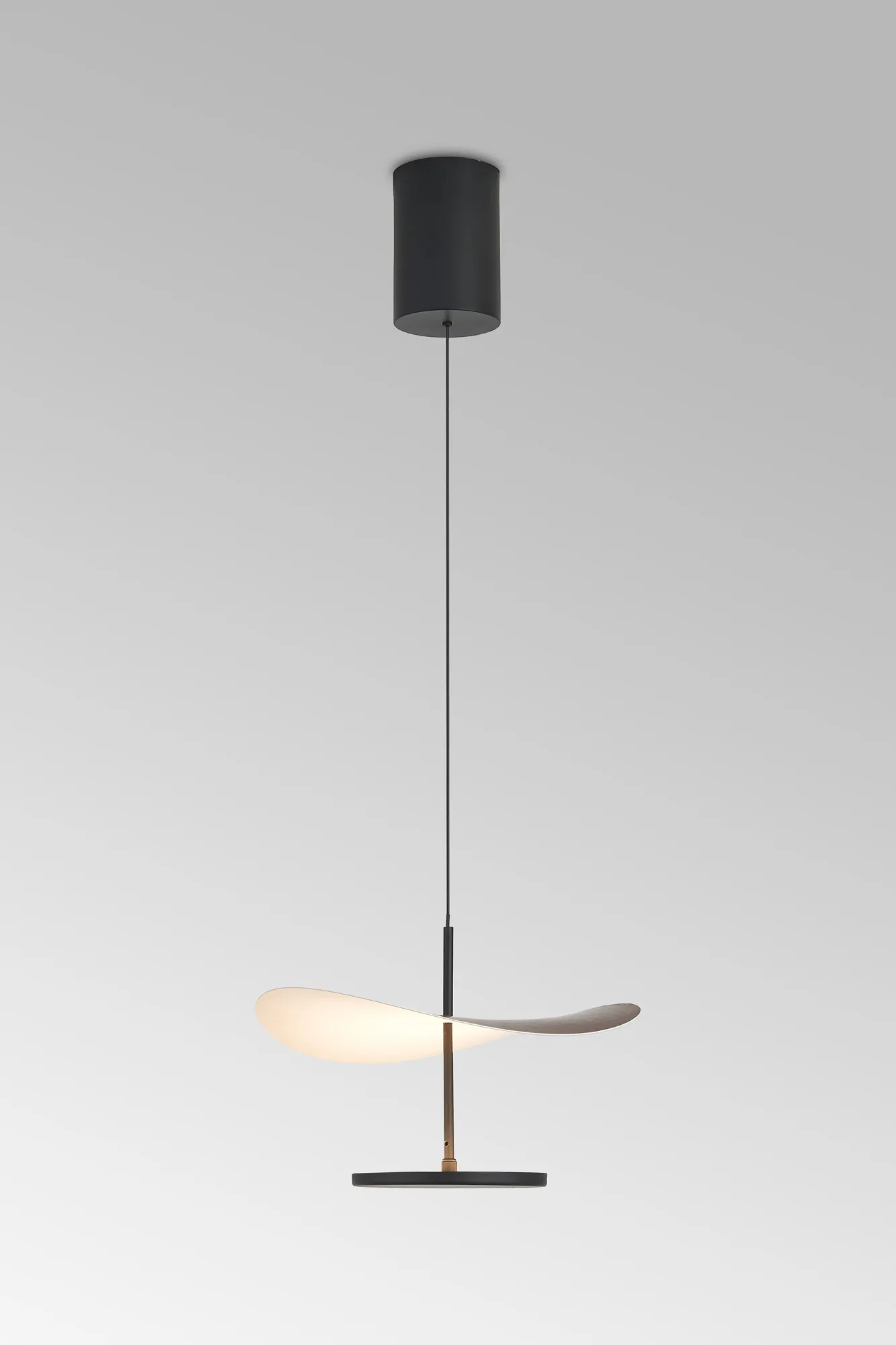 Abisal Dark Wood Ceiling Lights Mantra Single Pendant